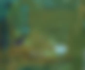 Another sea (preview)