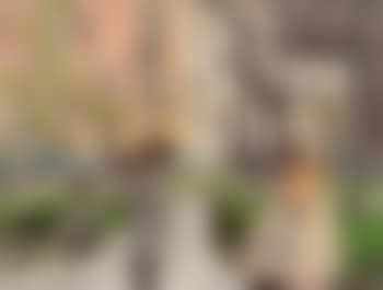 Madison Square Park (preview)