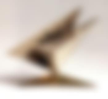 Wing movement (preview)