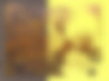 Kiku (preview)