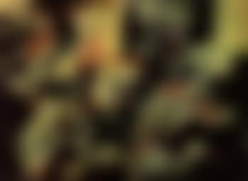 Untitled (preview)
