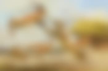 Hit and miss (preview)