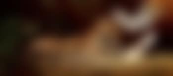 Jaguar and cattle egrets (preview)