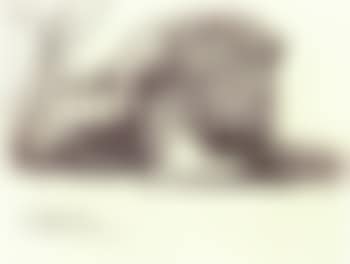 Bid nomadic lion, Mara Reserve, Kenya (preview)