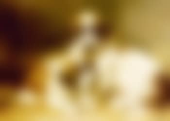 St Bernard pups (preview)