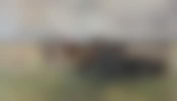 Oxen pulling a cart (preview)
