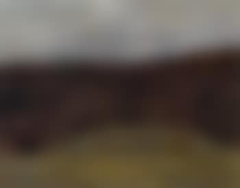 Landscape with trees (preview)