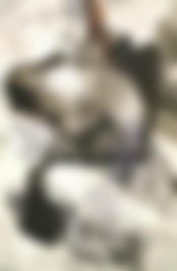 Ancient (preview)