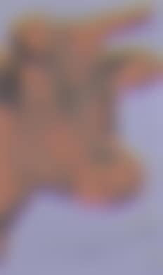 Cow (preview)