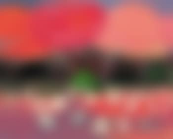 Lotus flowers are dying (preview)