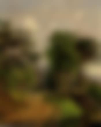 Path in a landscape (preview)