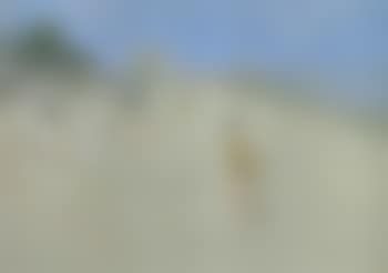 Sandymount Strand (preview)