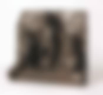 The three children (preview)