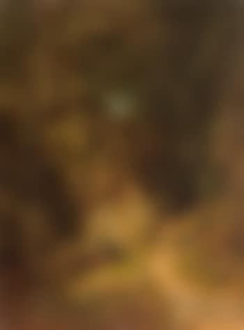 Woodland landscape (preview)
