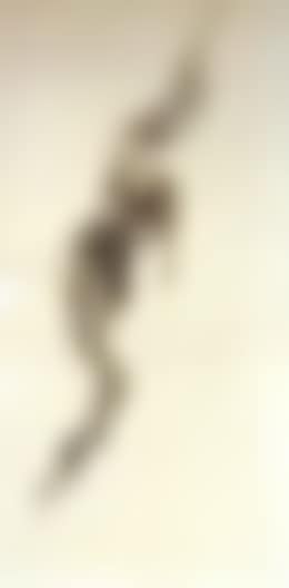 Study for Gradiva (preview)