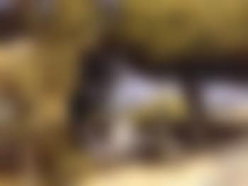 La terrace (preview)