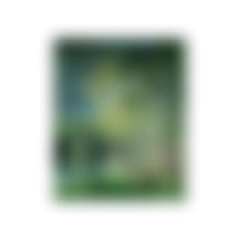 Paysage, bois (preview)