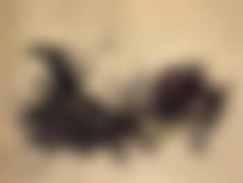 Untitled (preview)