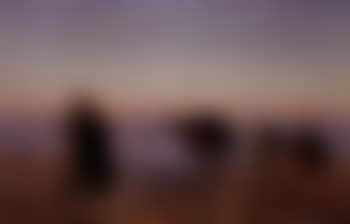 Caravan of camels in the Judean Desert (preview)