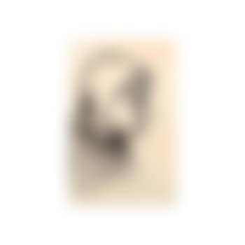 Head of a peasant woman, facing right (preview)
