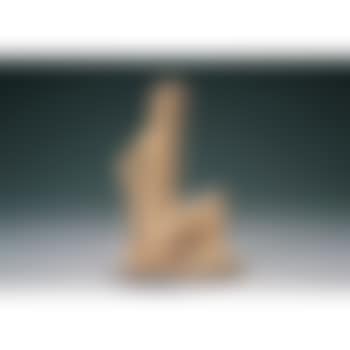 Femme assise au bras leve (preview)