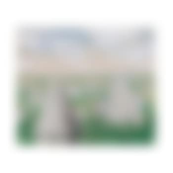 Les promenades d'euclide (preview)
