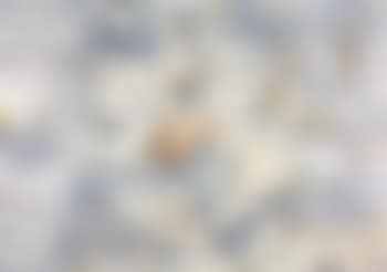 Paysage mediterraneen (preview)