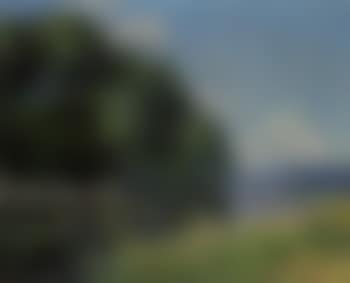 Aux bords de l'Eure en ete (preview)