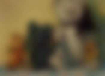 Die Barenfamilie (preview)