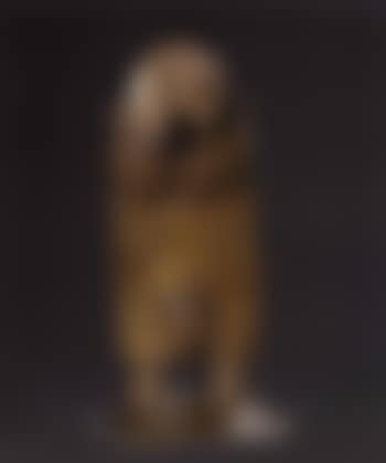 Janus (preview)