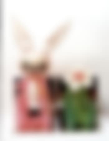 Inflatable flower and bunny (preview)