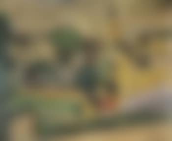 Le village (preview)