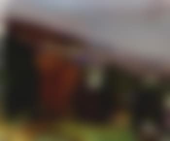 Landscape with red tree (preview)