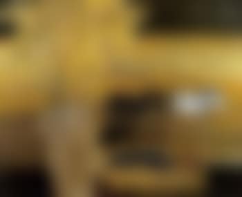 Nature morte sur fond de paysage (preview)