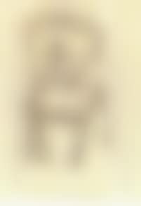 Figure (preview)