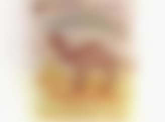Camel (preview)