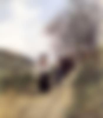 Wooded landscape with figures (preview)