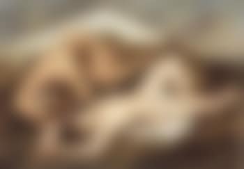 Study of two male nudes (preview)