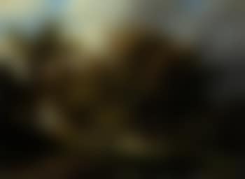 Sportsmen on a forest track (preview)
