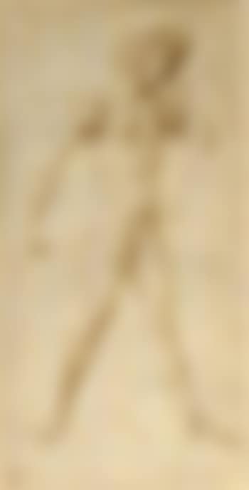 Standing nude holding a veil (preview)