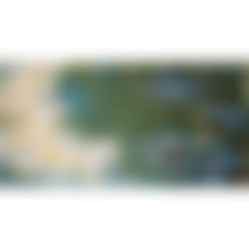 Le bassin aux nympheas (preview)