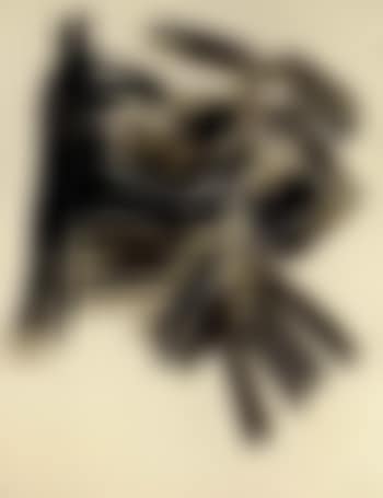 Untitled (preview)