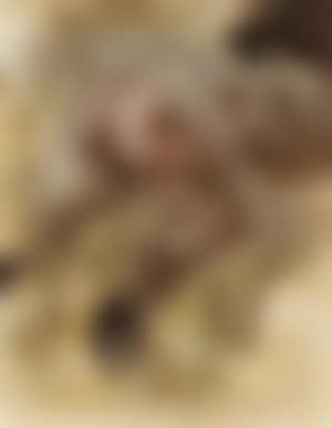 Knieender akt (preview)