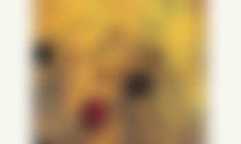 Toit netto (preview)