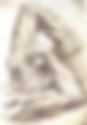 Anatomical studies: left arm and hand. Man's shoulder and hair (preview)