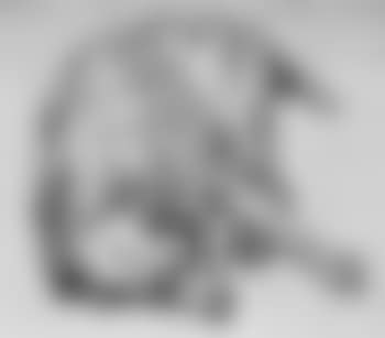 Study of a sleeping dog (preview)