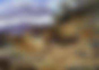 Partridges (preview)