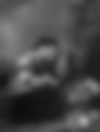 Fruit sellers (preview)