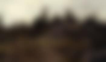 In the Adirondacks (preview)
