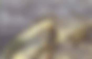 Fisherman resting in the dunes (preview)